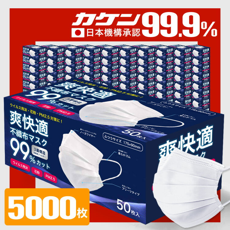 Sokaiteki公式店 【VFE/PFE/BFE99% 耳が痛くならない 】 マスク 不織布 5000枚 50枚×100箱 不織布マスク カラー 立体 オメガ...