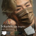 ＼ 1点から228円! ／ [Sokaiteki® 直営公式ショップ] Sokaiteki Los Angeles 1袋7枚入 2袋セット 14枚 マスク 不織布…