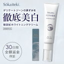 【 医薬部外品 】 デリケートゾーン クリーム 黒ずみ ケア 保湿 匂い 無添加 無香料 フェムケア ボディケア 顔 乳首 バスト バストトップ 脇 膝 肘 vio おしり 黒ずみケア 色素沈着 美白 妊娠中 Sokaiteki LUNARIA