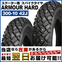 IRCSN12TL3.00-1042J(300-1042J)チューブレス原付・スクーター用冬タイヤスパイクタイヤイノウエバイク