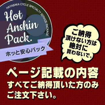 【関東 関西 地域限定販売 送料無料】フロンティアリラクシー カラータイヤモデル FRONTIA【2019】【FC6B49】ブリジストン(ブリヂストン)26インチ 電動自転車 電動アシスト自転車ホッと安心パック