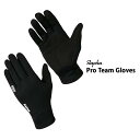 ラファ プロチーム グローブ 手袋 アパレル 自転車 冬 シンプル タッチパネル対応 スマホ操作可 Rapha PRO TEAM GLOVES(4)
