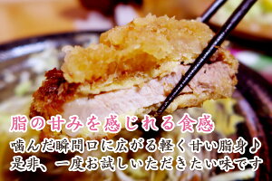 自宅用お買い得パック:とんかつ・ソテーセット1kgイメージ2