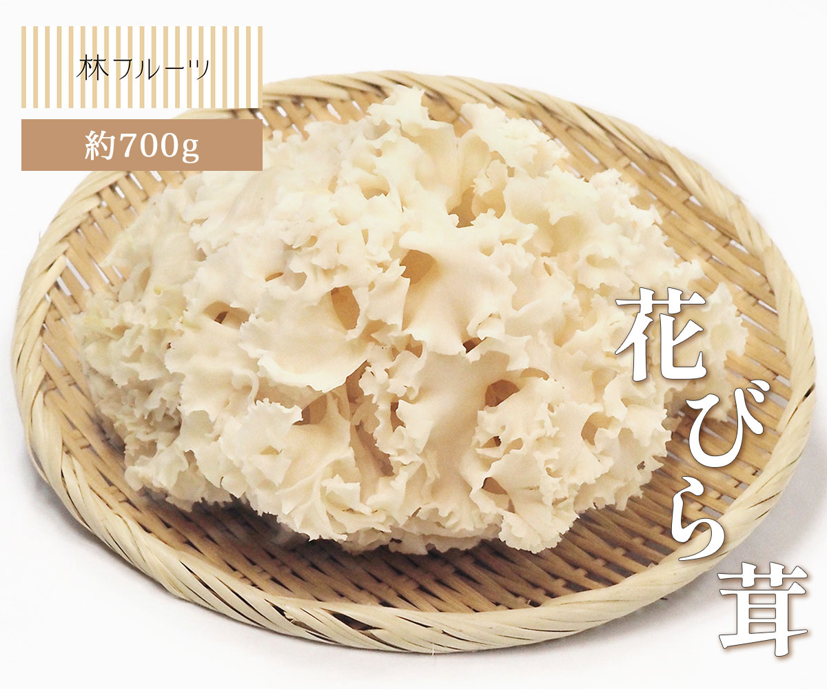 【ポイント3倍】【P3倍】魅惑のグリーンピース[520g](260g×2袋) グリンピース えんどう豆 青えんどう 豆菓子 塩味 モグーグ もぐーぐ 友口 お菓子 おつまみ お酒 ビール スナック おやつ サクサク 1000円ポッキリ送料無料 和菓子 ナッツ 1000円ぽっきり