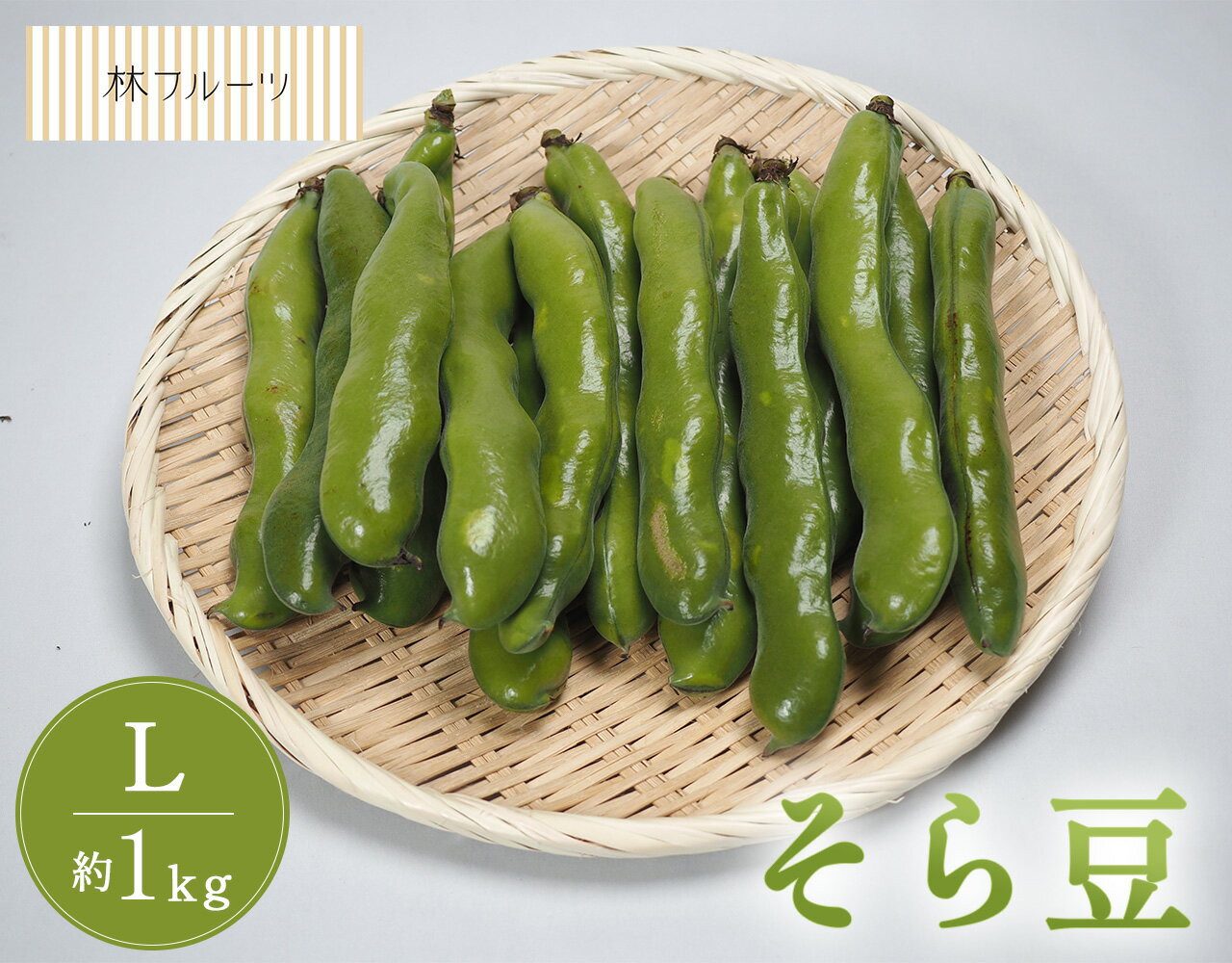 【鹿児島県産他 そら豆 Lサイズ 約1kg 林フルーツ】御祝 快気祝 御礼 お見舞い 粗品 内祝 出産祝い お供 志 誕生日 季節の野菜 やさいのサムネイル