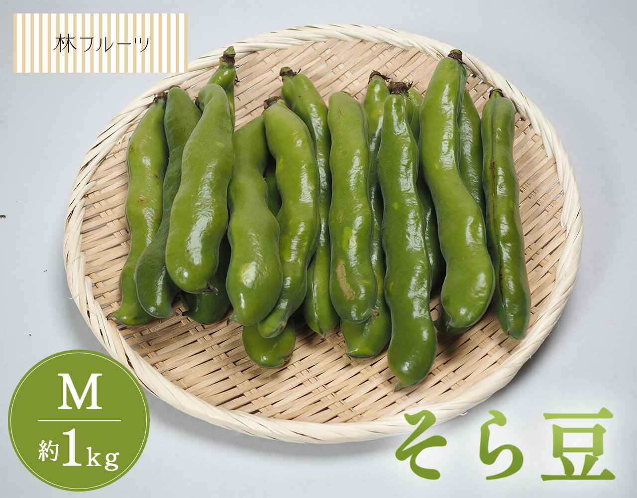 【熊本県産他 そら豆 Mサイズ 約1kg 林フルーツ】御祝 快気祝 御礼 お見舞い 粗品 内祝 出産祝い お供 志 誕生日 季節の野菜 やさい