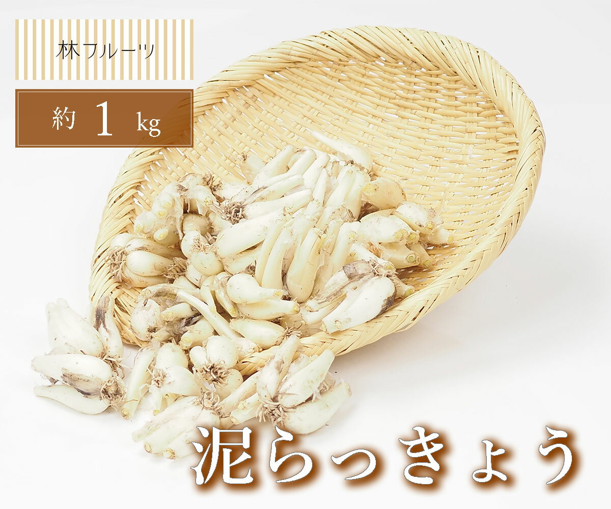 【鹿児島県産 泥らっきょう 約1kg 林フルーツ】つけもの おつけもの 漬物 お漬物 季節の野菜 旬 やさい ヤサイのサムネイル