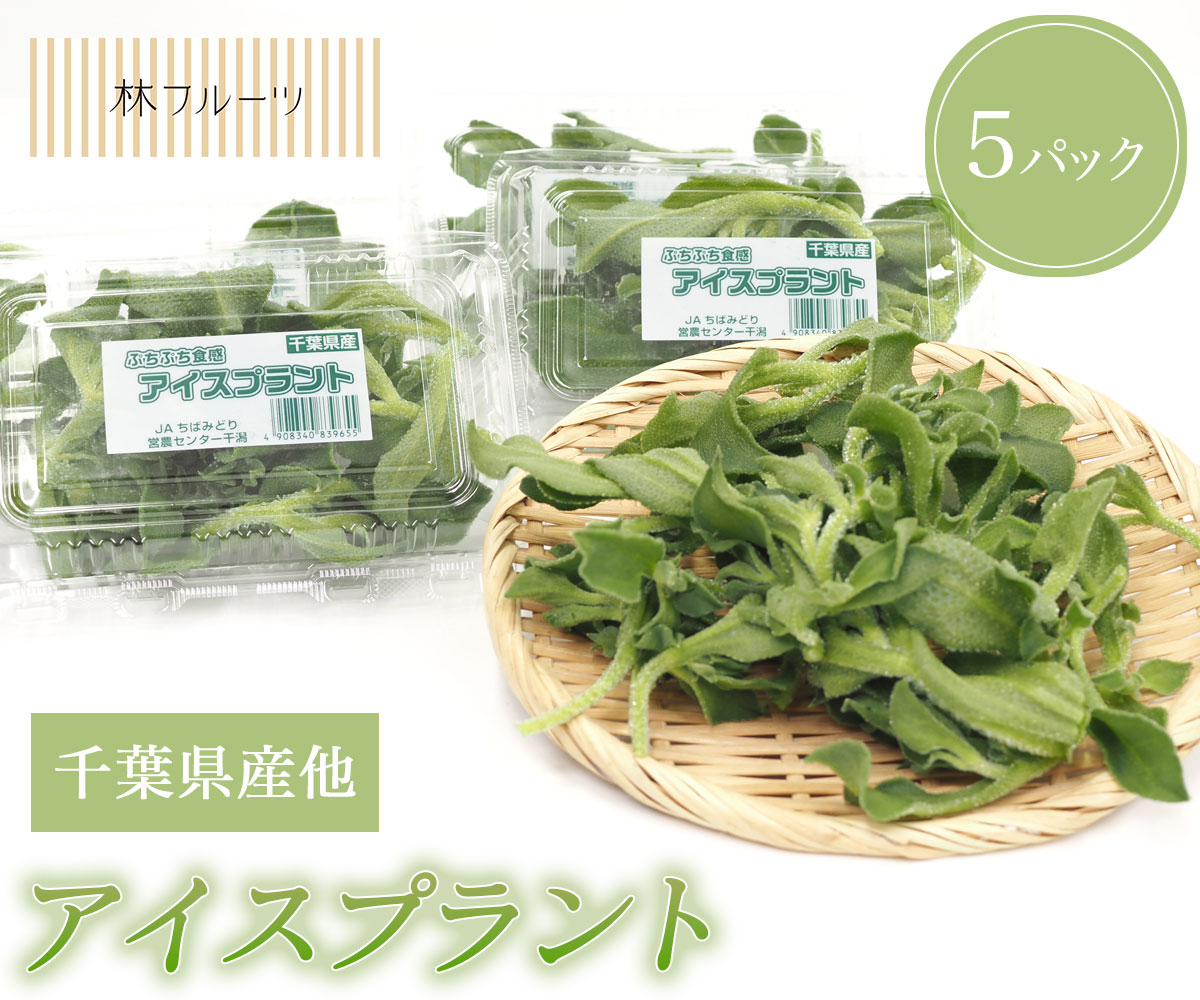 【千葉県産他 アイスプラント 5パック 林フルーツ】御祝 快気祝 御礼 お見舞い 粗品 内祝 出産祝い お供 志 誕生日 季節の野菜 やさい