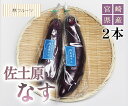 【宮崎県産 佐土原なす 2本 林フルーツ】御祝 快気祝 御礼 お見舞い 粗品 内祝 出産祝い お供 志 誕生日 季節の野菜 やさい