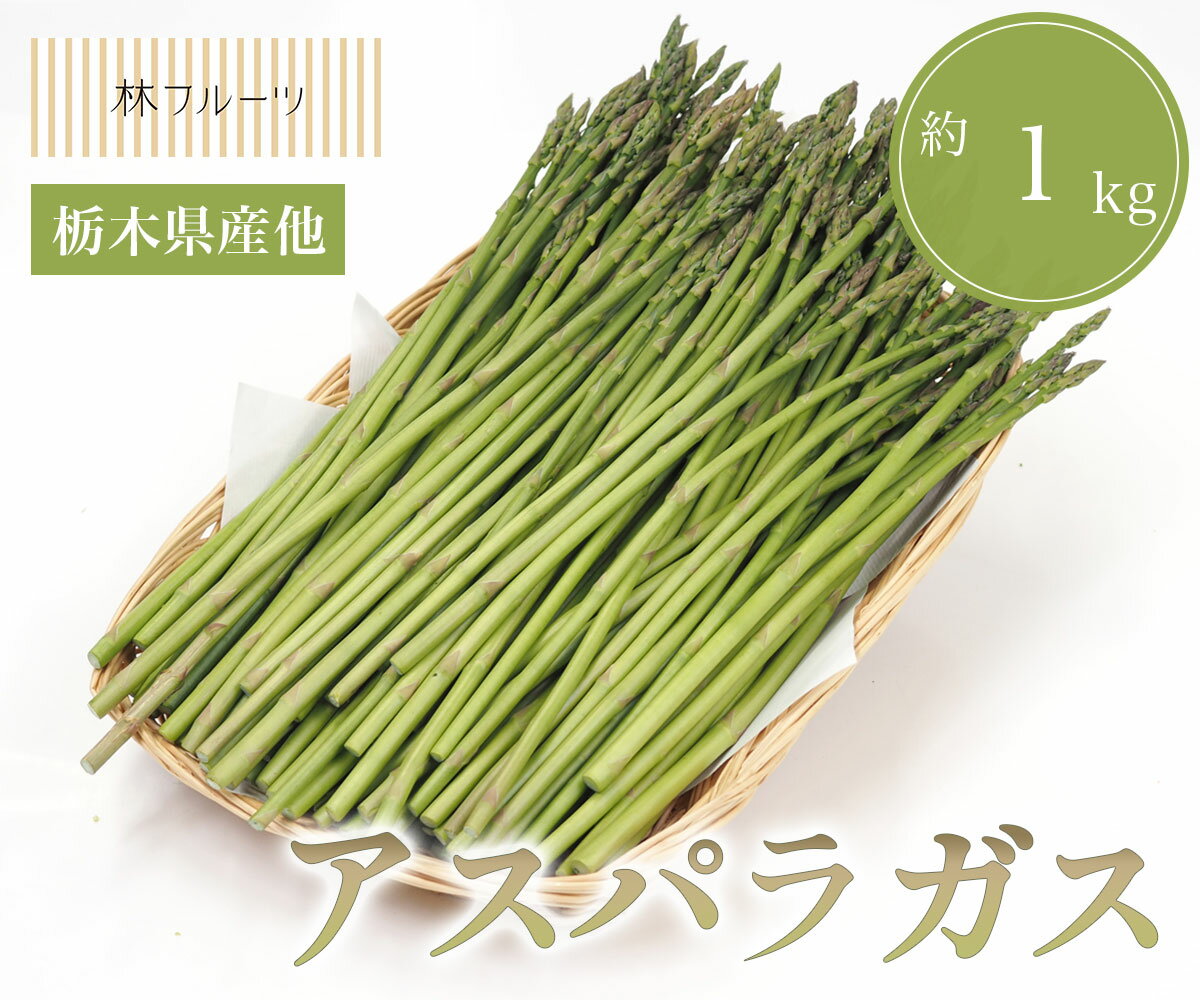 ご自宅用 ご家庭用 旬 旬の野菜