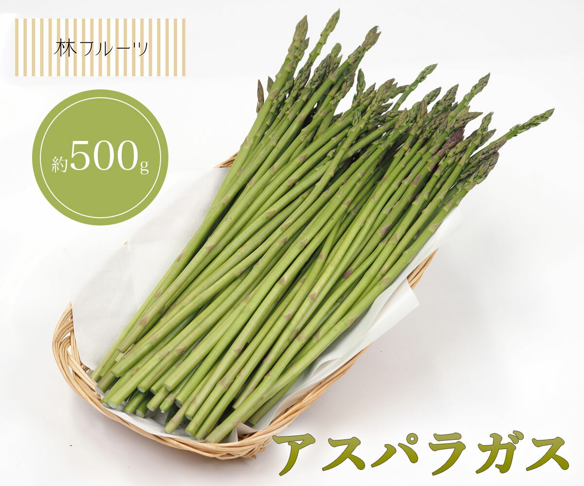 【栃木県産他 アスパラガス 約500g 林フルーツ】ご自宅用 ご家庭用 旬 旬の野菜