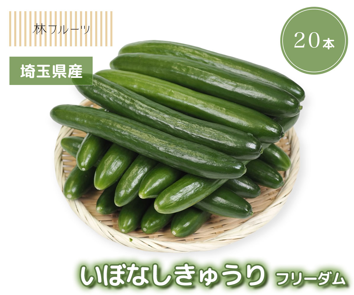 【埼玉県産 いぼなし きゅうり フリーダム 20本 林フルーツ】ご自宅用 ご家庭用 旬 旬の野菜