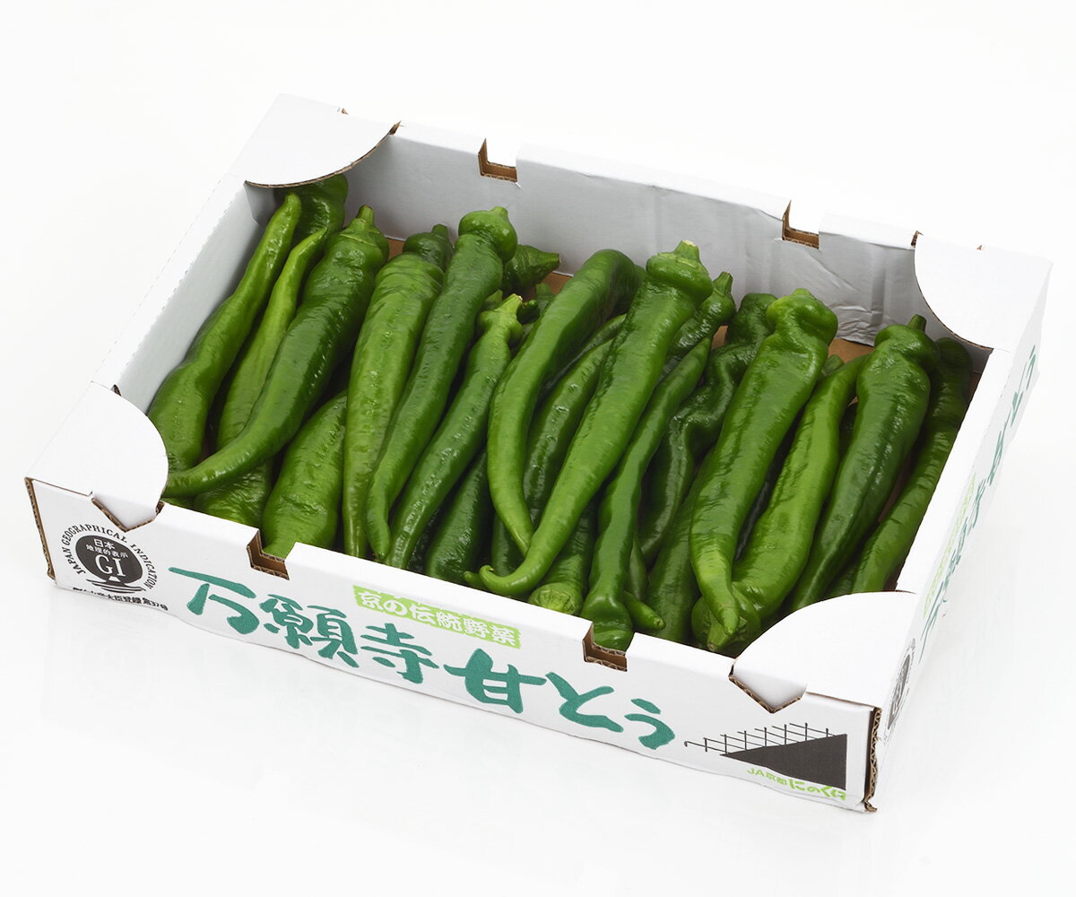  ŤȤ 1kg ӥե롼ġ   䤵 䥵 Ԥ