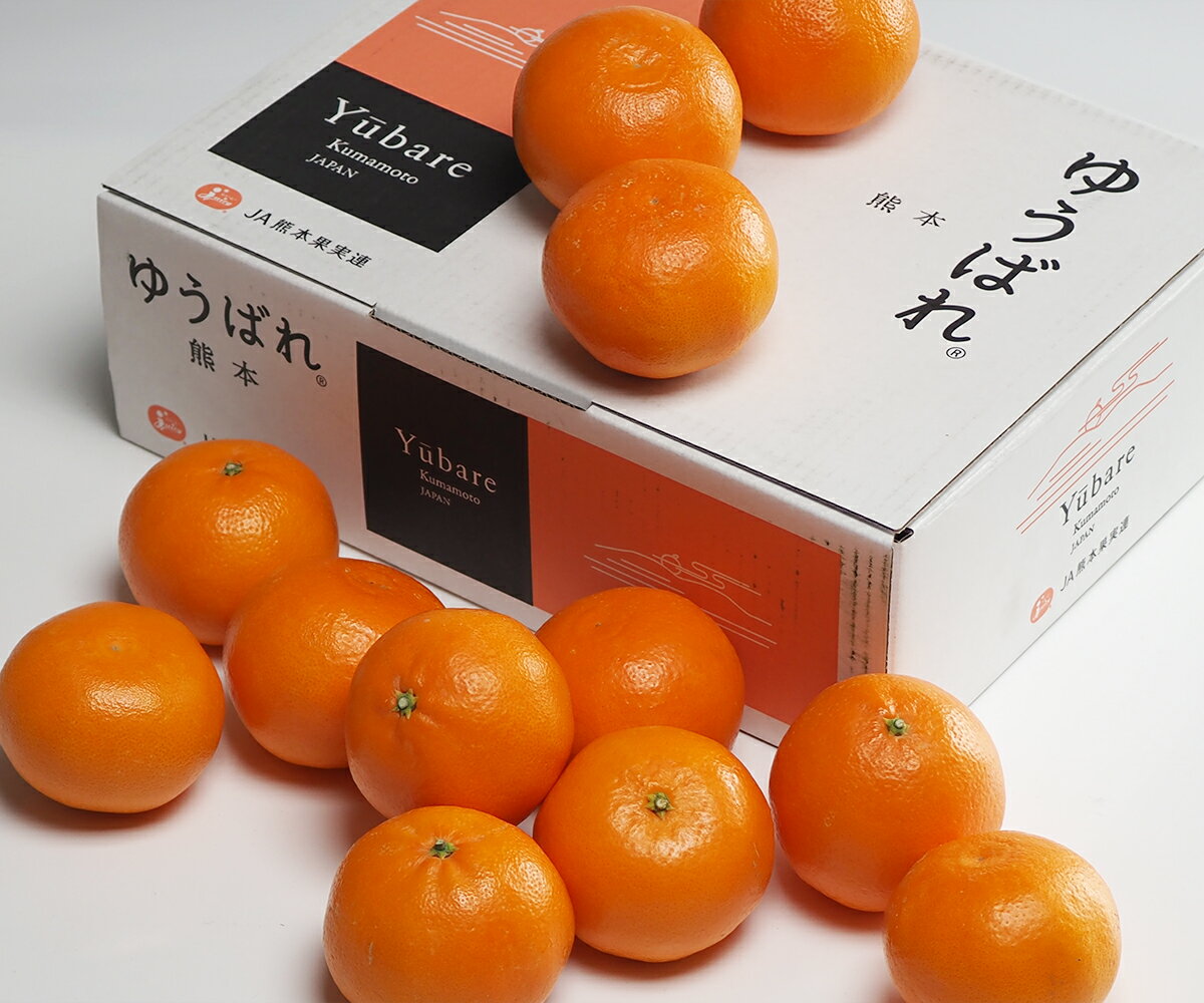 【熊本県産 ゆうばれ 秀品 1箱 約3kg 林フルーツ】御祝 快気祝 御礼 お見舞い 粗品 内祝 出産祝い お供 志 誕生日 季節の果物 旬 くだもの 送料無料のサムネイル