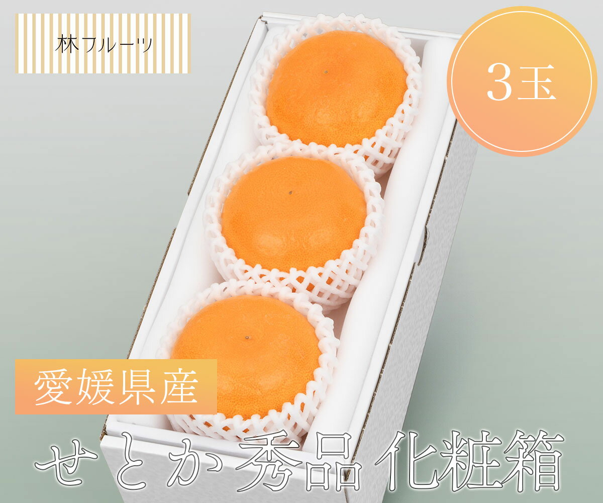 【愛媛県産 せとか 秀品 化粧箱 3玉 林フルーツ】御祝 快気祝 御礼 お見舞い 粗品 内祝 出産祝い お供 志 誕生日 季節の果物 旬 くだもの 送料無料