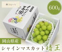 【シャインマスカット晴王 1房 約600g 林フルーツ】御祝 快気祝 御礼 お見舞い 粗品 内祝 出産祝い お供 志 誕生日 季節の果物 旬 くだもの 送料無料