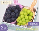 【長野県産 シャインマスカット・ナガノパープル詰め合わせ 林フルーツ】御祝 快気祝 御礼 お見舞い 粗品 内祝 出産祝い お供 志 誕生日 季節の果物 旬 くだもの 送料無料