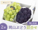 【お中元企画 岡山ぶどう詰合せ 林フルーツ】お中元 御中元 夏 御礼 贈答 お返し おちゅうげん なつ サマーギフト 季節の果物 旬 くだもの 送料無料