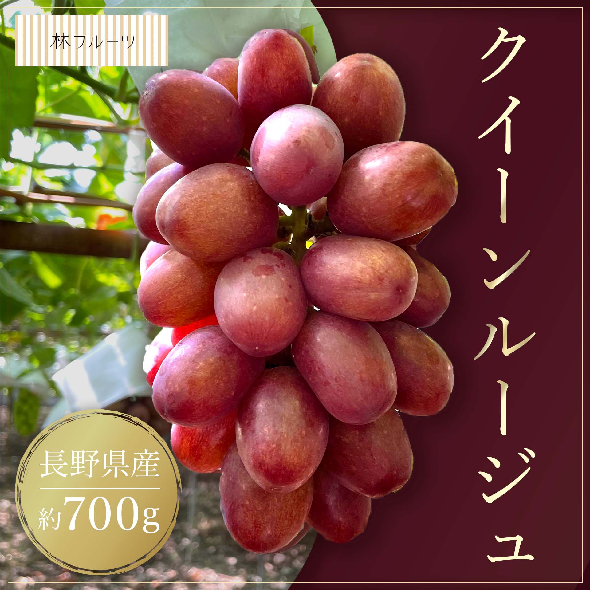 【長野県産 特大 クイーンルージュ 1房 約700g 林フルーツ】御祝 快気祝 御礼 お見舞い 粗品 内祝 出産祝い お供 志 誕生日 季節の果物 旬 くだもの 送料無料のサムネイル