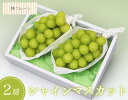 【山梨県産他 シャインマスカット 2房(約950g) 林フルーツ】御祝 快気祝 御礼 お見舞い 粗品 内祝 出産祝い お供 志 誕生日 季節の果物 旬 くだもの 送料料