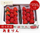 いちご 【埼玉県産 あまりん 1箱 約250g×2パック 林フルーツ】 御祝 快気祝 御礼 お見舞い 粗品 内祝 出産祝い お供 志 誕生日 季節の果物 旬 くだもの