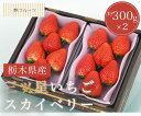 【三ツ星いちご スカイベリー G品 約300g×2 林フルーツ】 御祝 快気祝 御礼 お見舞い 粗品 内祝 出産祝い お供 志 誕生日 季節の果物 旬 くだもの