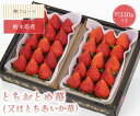 いちご 【栃木県産 とちおとめ苺（もしくは とちあいか苺）1箱 約330g×2 林フルーツ】御祝 快気祝 御礼 お見舞い 粗品 内祝 出産祝い お供 志 誕生日 季節の果物 旬 くだもの