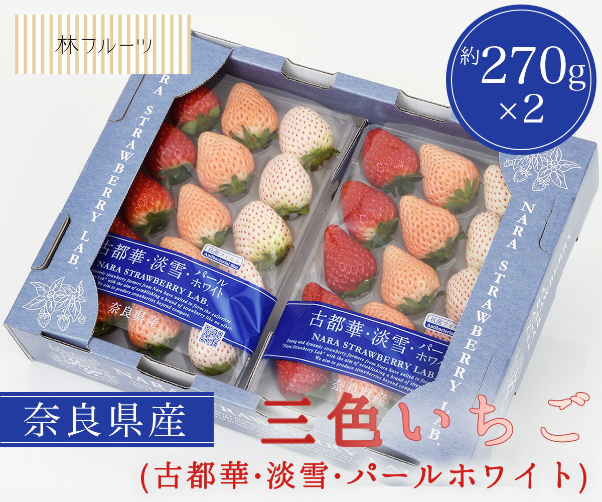 【奈良県産 三色いちご 約270g×2 (古都華 淡雪 パールホワイト) 林フルーツ 】御祝 快気祝 御礼 お見舞い 粗品 内祝 出産祝い お供 志 誕生日 季節の果物 旬 くだもの 送料無料のサムネイル