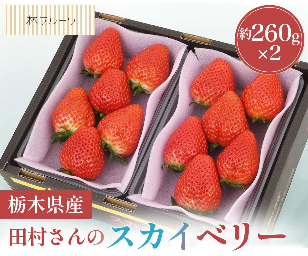 【田村さんのスカイベリー G品 (4粒〜15粒)約260g×2林フルーツ】 御祝 快気祝 御礼 お見舞い 粗品 内祝 出産祝い お供 志 誕生日 季節の果物 旬 くだもの