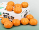 【鳥取県産 輝太郎柿 秀品 約3kg 林フルーツ】御祝 快気祝 御礼 お見舞い 粗品 内祝 出産祝い お供 志 誕生日 季節の果物 旬 くだもの 送料無料
