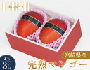 【 宮崎県産 完熟マンゴー 秀品 3Lサイズ 2玉 林フルーツ】御祝 快気祝 御礼 お見舞い 粗品 内祝 出産祝い お供 志 誕生日 季節の果物 旬 くだもの ...