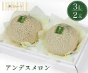 【熊本県産他 アンデスメロン 秀品 3Lサイズ 2玉 林フルーツ】御祝 快気祝 御礼 お見舞い 粗品 内祝 出産祝い お供 志 誕生日 季節の果物 旬 くだもの...