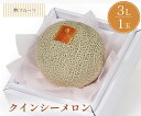 【熊本県産他 クインシーメロン 秀品 3Lサイズ 1玉 林フルーツ】御祝 快気祝 御礼 お見舞い 粗品 内祝 出産祝い お供 志 誕生日 季節の果物 旬 くだも...