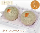 【熊本産他 クインシーメロン 秀品 3Lサイズ 2玉 林フルーツ】御祝 快気祝 御礼 お見舞い 粗品 内祝 出産祝い お供 志 誕生日 季節の果物 旬 くだもの...