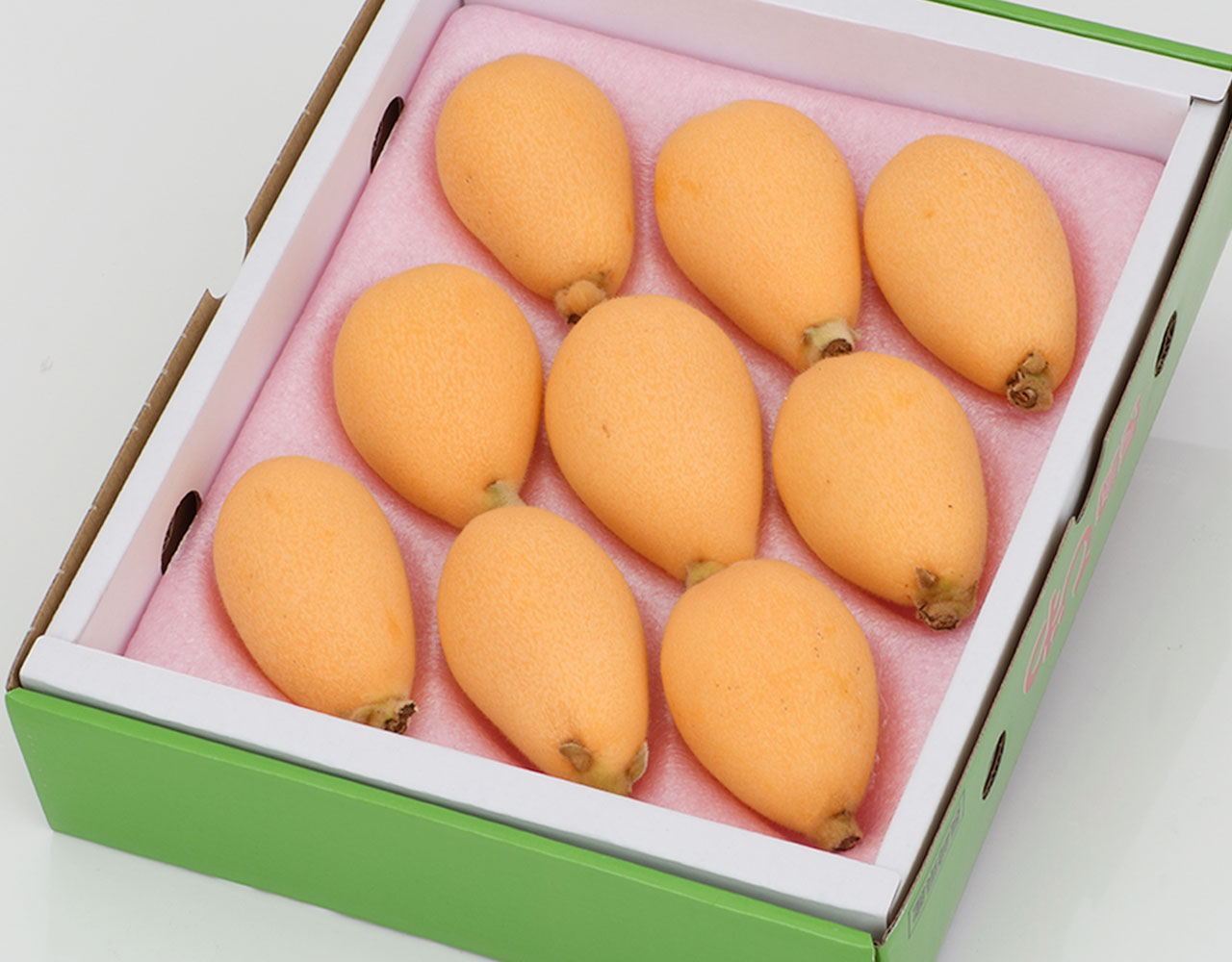 【 長崎 茂木びわ 秀品 化粧箱 約500g 林フルーツ】お祝い 快気祝い 御礼 のし紙 お供え 誕生日 季節の果物 旬 くだもの 送料無料 お返し お供え物