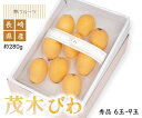 生産量日本一を誇る長崎県のびわ。長崎半島を中心に温暖な気候をいかし太陽の恵みと潮風に包まれ、みずみずしく、甘く、爽やかな味わいで人気の逸品です。 ※日付の指定は原則承れませんので、予めご了承ください。 産地：長崎県産 規格：茂木びわ 秀品 約280g 　　　 Mサイズ～2Lサイズ（6玉～9玉入） 　　※大きさ・粒数はお選びいただけません 　　　予めご了承ください。 商品記号：HSF-BNMB-A02 承り期間：〜5/6頃まで お届け期間：〜5/11頃まで 備考：熨斗紙（短冊）対応可 　　　二重包装、ショッピング袋対応不可 ※画像はイメージです。 ※お品物の入荷の関係上、配送箱が予告なく変更する場合がございますので予めご了承ください。 ※お品物の性質上、予告なく金額・承り期間・お届け時期等が変更する場合がございます。 ※天候・収穫状況などにより発送が早まる又は遅れる場合がございます。 ※生ものですのでお早めにお召し上がりください。 ※一部離島などお届けできない地域がございます。