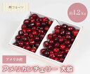 【 アメリカ産 アメリカンンチェリー 大粒 約1.2kg 林フルーツ】御祝 快気祝 御礼 お見舞い 粗品 内祝 出産祝い お供 志 誕生日 季節の果物 旬 くだもの 送料無料