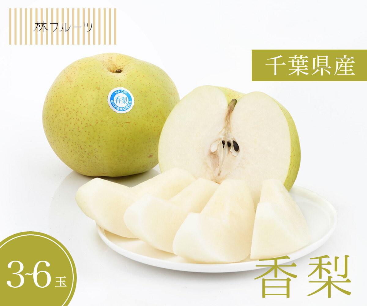 【千葉県産 香梨 市川のなし 秀品 約2kg～2.5kg 林フルーツ】御祝 快気祝 御礼 お見舞い 粗品 内祝 出産祝い お供 志 誕生日 季節の果物 旬 くだもの 送料無料のサムネイル