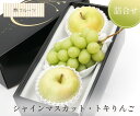 【シャインマスカット ・ トキりんご 詰め合せ 林フルーツ】御祝 快気祝 御礼 お見舞い 粗品 内祝 出産祝い お供 志 誕生日 季節の果物 旬 くだもの 送料無料