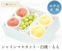 【お中元企画 シャインマスカット 白桃 もも 詰合せ 林フルーツ】お中元 御中元 夏 御礼 贈答 お返し おちゅうげん なつ サマーギフト 季節の果物 旬 くだもの 送料無料