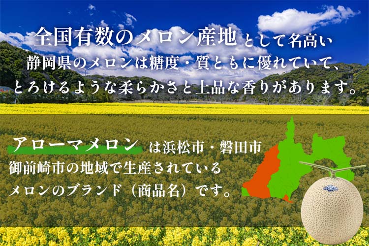 【アローマ マスクメロン 2玉 (約2.6kg) 林フルーツ】御祝 快気祝 御礼 お見舞い 粗品 内祝 出産祝い お供 志 誕生日 季節の果物 旬 くだもの