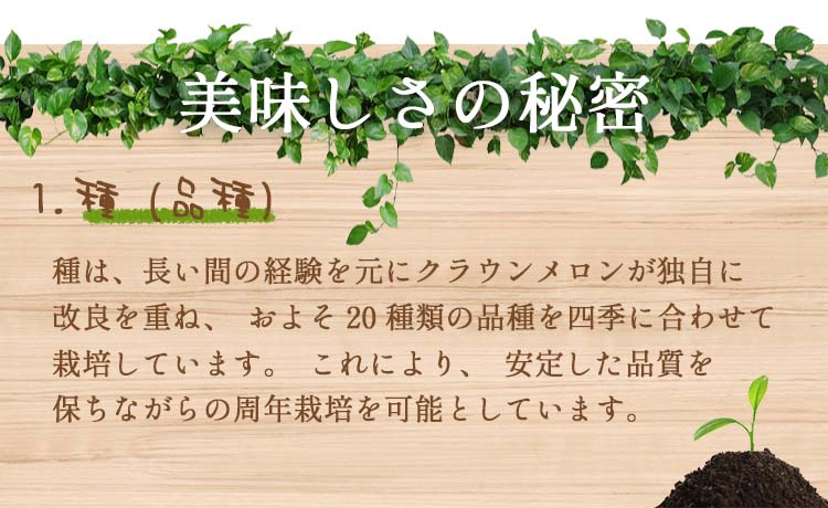 【クラウンマスクメロン 2玉 (約2.8kg) 林フルーツ】御祝 快気祝 御礼 お見舞い 粗品 内祝 出産祝い お供 志 誕生日 季節の果物 旬 くだもの