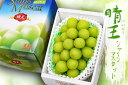 【 岡山県産 シャインマスカット晴王 化粧箱 1房 約700g 林フルーツ】御祝 快気祝 御礼 お見舞い 粗品 内祝 出産祝い お供 志 誕生日 季節の果物 旬 くだもの 送料無料