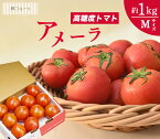 【アメーラトマト Mサイズ 約1kg 林フルーツ】御祝 快気祝 御礼 お見舞い 粗品 内祝 出産祝い お供 志 誕生日 季節の野菜 旬