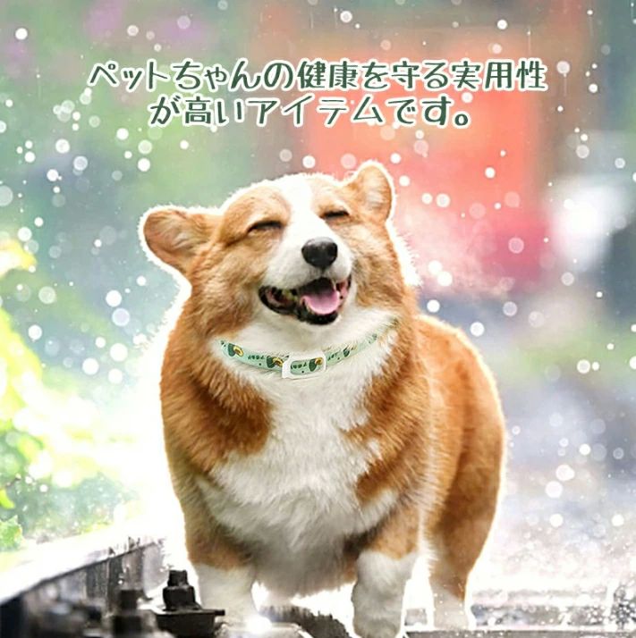 �ڥå��� ��褱 �Υ߼����� ����� ŷ�������ޥ����� ���� ǭ�� ������к� �� �� ������ �淿�� �緿�� �ڥå����� ����̵�� ����Ū ̵�� �İ���