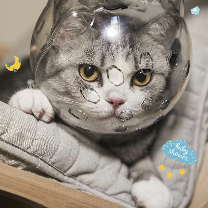 猫用エリザベスカラーペット用品噛みつき 爪切り補助用 猫 通気性 猫用マズル 可愛しつけ用口輪 猫宇宙..