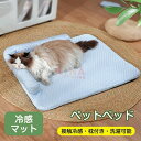 ふわふわ 犬猫兼用 滑り止め 取り外