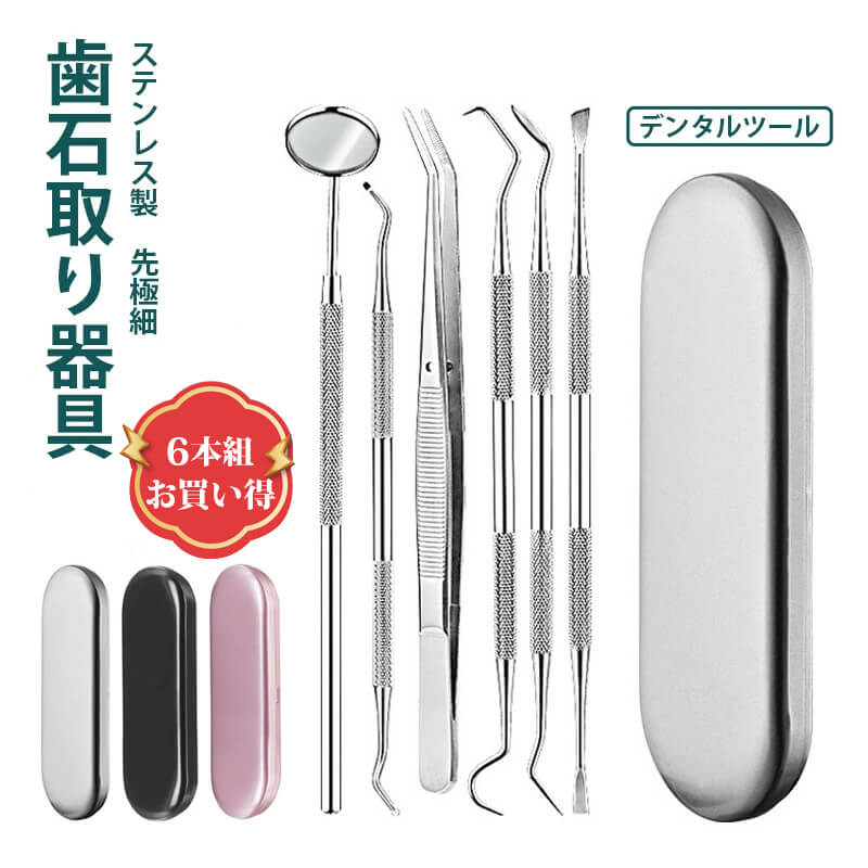 敬老の 送料無料 プロ仕様 歯石除去 デンタルツール 先極細 ステンレス製 ヤニとり 歯垢 スケーラー 自分で取る 自宅用 器具