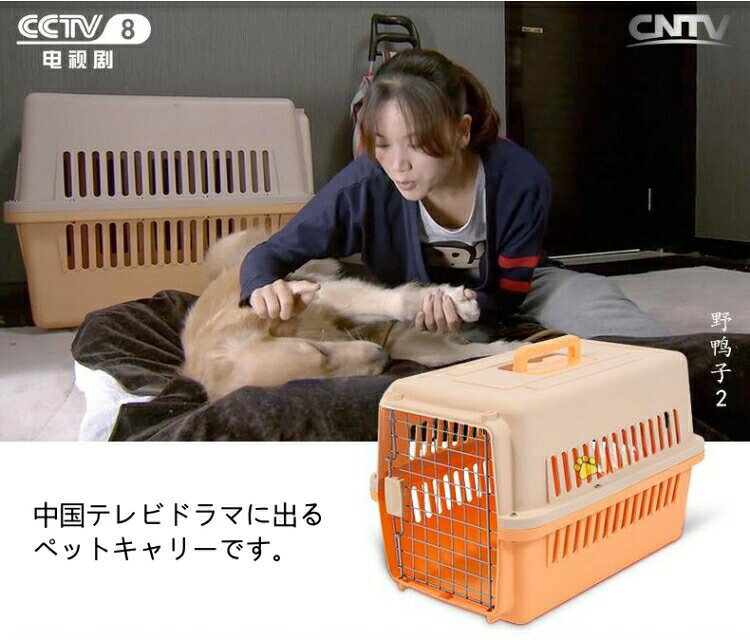 猫 小型犬 中型犬 大型犬 ケース ペット 防災 コンテナ キャリーバッグ 避難 飛行...