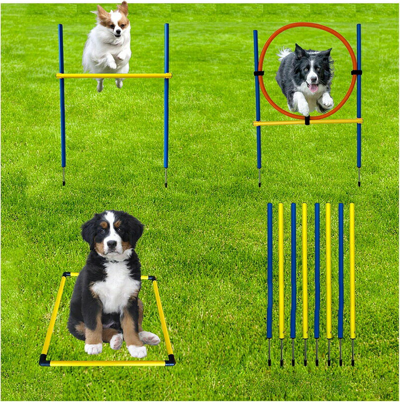 障害物 犬の敏捷性 トレーニング 運動器具 セット ジャンプバー スラローム ハード...